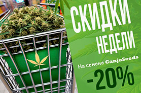 ТОП 10 Зима 2024. Неделя скидок от GanjaSeeds!